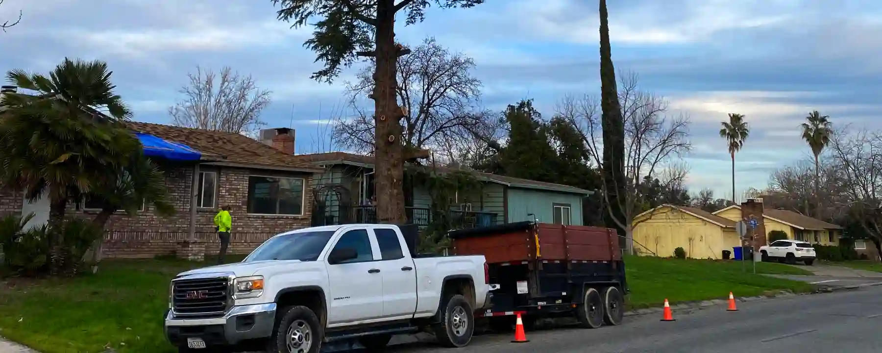 Acacia Tree Services trimming a large tree in the front of a home with their truck, trailer and wood chipper.
